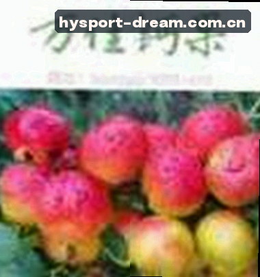 张伟